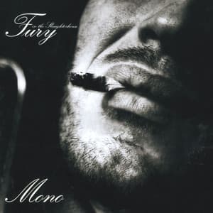 Mono - Fury In The Slaughterhouse