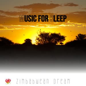 Music for Sleep - Zimbabwean Dream