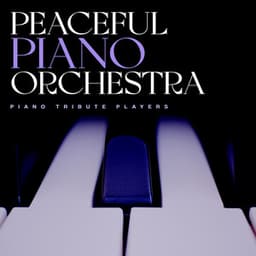 Peaceful Piano Orchestra - Piano Tribute Players