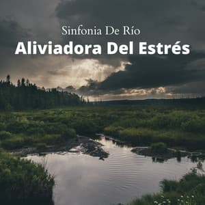 Sinfonia De Río Aliviadora Del Estrés - Sonidos de agua para spa