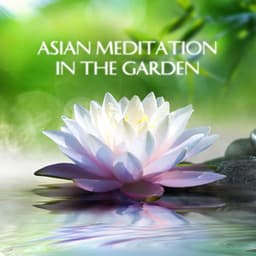 Asian Meditation in the Garden - Guo Yang Peng