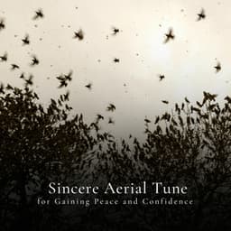 * Sincere Aerial Tune for Gaining Peace and Confidence * - Calm Singing Birds Zone