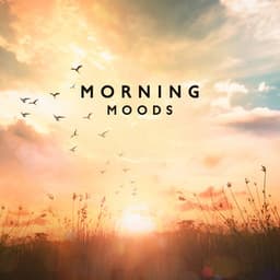 Morning Moods - Dave Herson