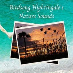 Birdsong Nightingale's Nature Sounds Vol. 2 - Myrs