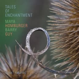 Tales of Enchantment - Barry Guy