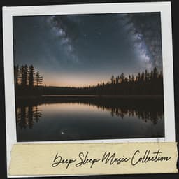 Deep Sleep Music Collection: Dreamscapes of Tranquility - Dog Relaxation