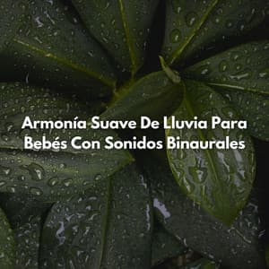 Armonía Suave De Lluvia Para Bebés Con Sonidos Binaurales - Grabaciones de ritmos binaurales