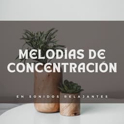 Melodías De Concentración En Sonidos Relajantes - Relajación Pianística