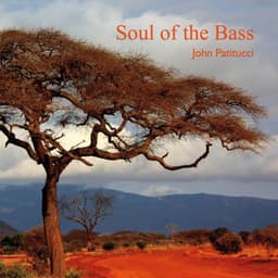 Soul of the Bass - John Patitucci