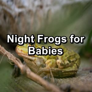 Night Frogs for Babies - Frog Sounds