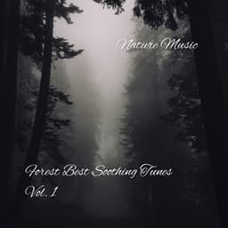 Nature Music: Forest Best Soothing Tunes Vol. 1 - Soothing Music