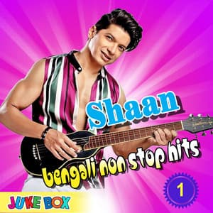 Shaan Bengali Non Stop Hits Part 1 - Shaan