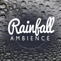 Rainfall Ambience - Ambient Rain