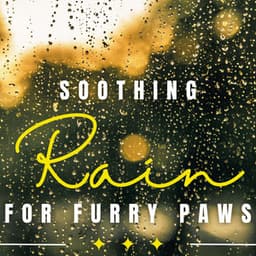 Rain's Pet Serenade: Calming Rainfall - Rain Sounds Sleep