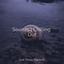 Sounds | Chilling Out - Dog Music