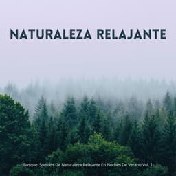 Bosque: Sonidos De Naturaleza Relajante En Noches De Verano Vol. 1 - Sonidos Del Bosque