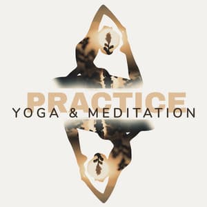 Practice Yoga & Meditation to Awaken Your Mind and Body - Project!Yoga Meditation