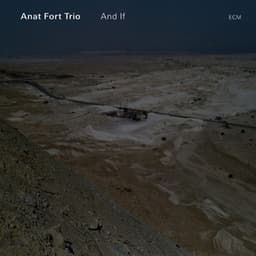 And If - Anat Fort Trio