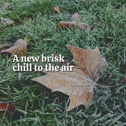 A New Brisk Chill to the Air - The Nature Soundscapes