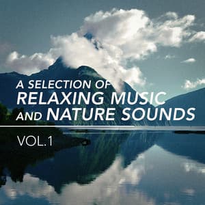 A Selection of Relaxing Music and Nature Sounds, Vol. 1 - Nature Sounds