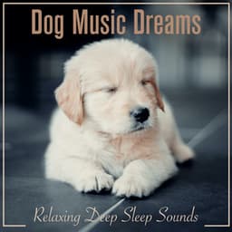 Dog Music Dreams: Relaxing Deep Sleep Sounds - Dog Music Dreams