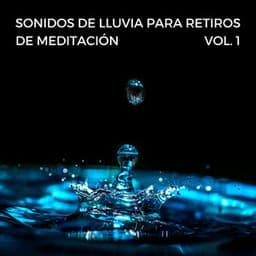 Sonidos De Lluvia Para Retiros De Meditación Vol. 1 - Lluvia