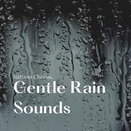 Natures Chorus, Gentle Rain Sounds - The Rain Factory
