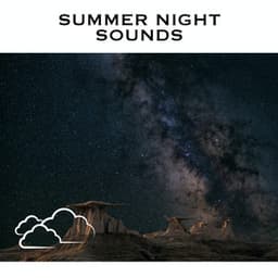Summer Night Sounds - Cricket Sounds
