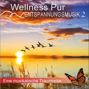 Entspannungsmusik 2, eine musikalische Traumreise - Wellness Pur