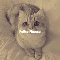 Feline Finesse - Calming Cat Music