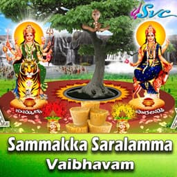 Sammakka Saralamma Vaibhavam - D.Sarangapani
