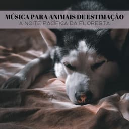 Música Para Animais De Estimação: A Noite Pacífica Da Floresta - Música Para Cães Adormecidos