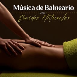 Música de Balneario con Sonidos Naturales: La Mejor Colección de Sonidos Naturales para Cientro de Bienestar - Elena Ambiental