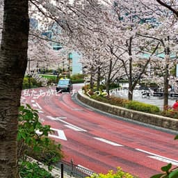 私たちがビーチでくつろいでいるとき - Dinner Time Playlist