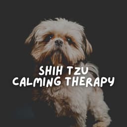 Shih Tzu Calming Therapy - Sleeping Music For Dogs