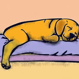 Slumber Serenade: Harmonious Tunes for Dog Naps - Dog Music Hour