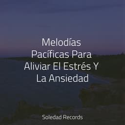 Melodías Pacíficas Para Aliviar El Estrés Y La Ansiedad - Spa & Spa