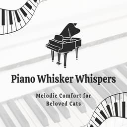 Piano Whisker Whispers: Melodic Comfort for Beloved Cats - Contemplative Souls