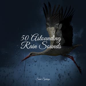 50 Loopable Rainfall Sounds - ASMR Sleep Sounds
