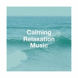 Calming Relaxation Music - Best Relaxation Music