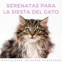 Serenatas Para La Siesta Del Gato: Música Para Un Sueño Reparador - La mejor musica instrumental