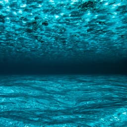 50 Ambient Ocean Songs: Crystal Stream Sleep Therapy - Sea Waves Sounds