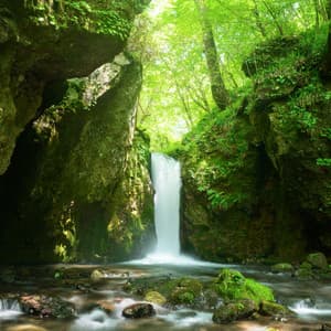 Streamside Bliss: Flowing Tranquility with Harmony - Harmony Bliss