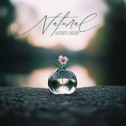 Natural Anxiety Relief - Pure Day Academy