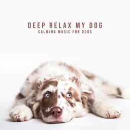 Deep Relax my Dog: Calming Music for Dogs - Pets Music