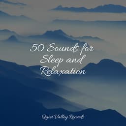 50 Sounds for Sleep and Relaxation - Wave Sound Group