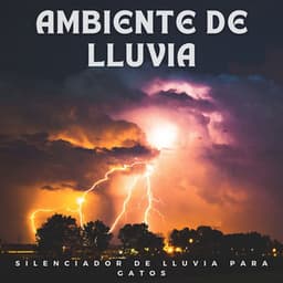Ambiente De Lluvia: Silenciador De Lluvia Para Gatos - Ruido de Lluvia