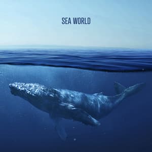 Sea ​​World - Rhodium Music