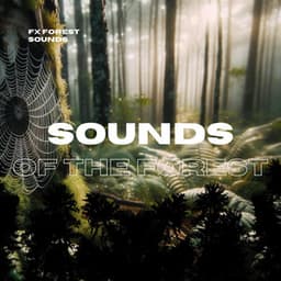 Sounds of the Forest - FX Forest Sounds