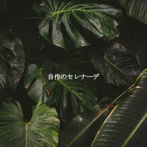 自作のセレナーデ - Happy Sunday Morning Music